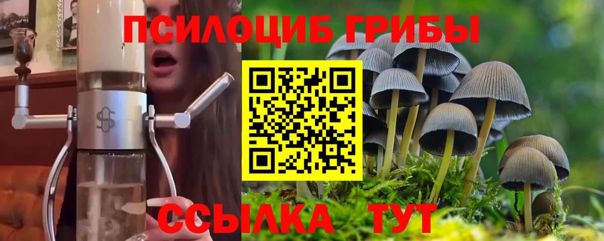 Псилоцибиновые грибы Cubensis Батайск